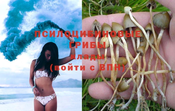 гидропоника Вязьма