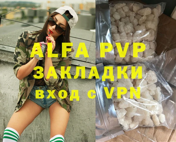 сатива Вяземский