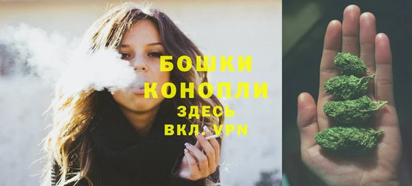 сатива Вяземский