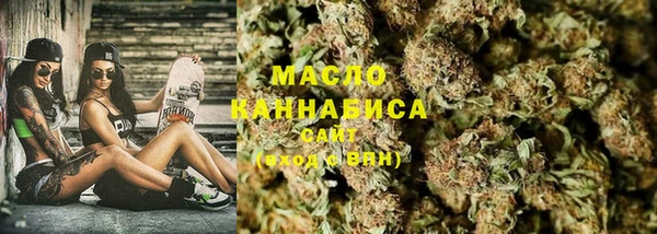 сатива Вяземский