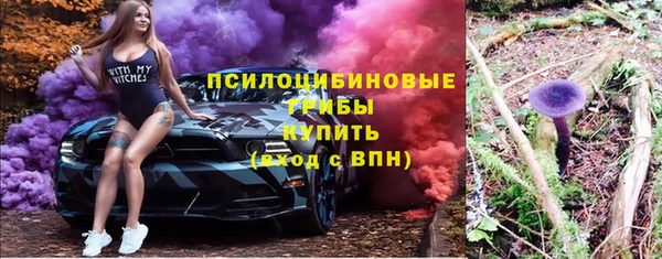 крисы Усмань