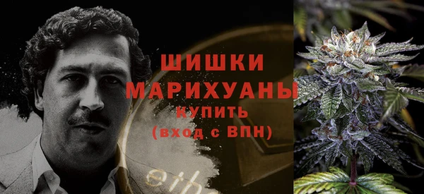 сатива Вяземский