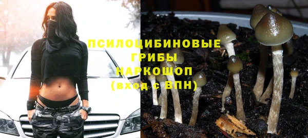молекула духа Куйбышев